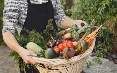« Du jardin à l’assiette »