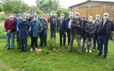 Jardins familiaux de Luc-la-Primaube : la réalisation des cabanes est confiée à l’Esat de Sébazac